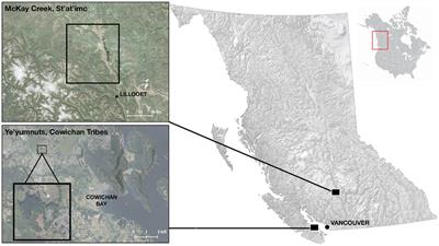 Pop-up restoration in colonial contexts: applying an indigenous food systems lens to ecological restoration